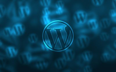 Basic and Must have WordPress plugins for every business website